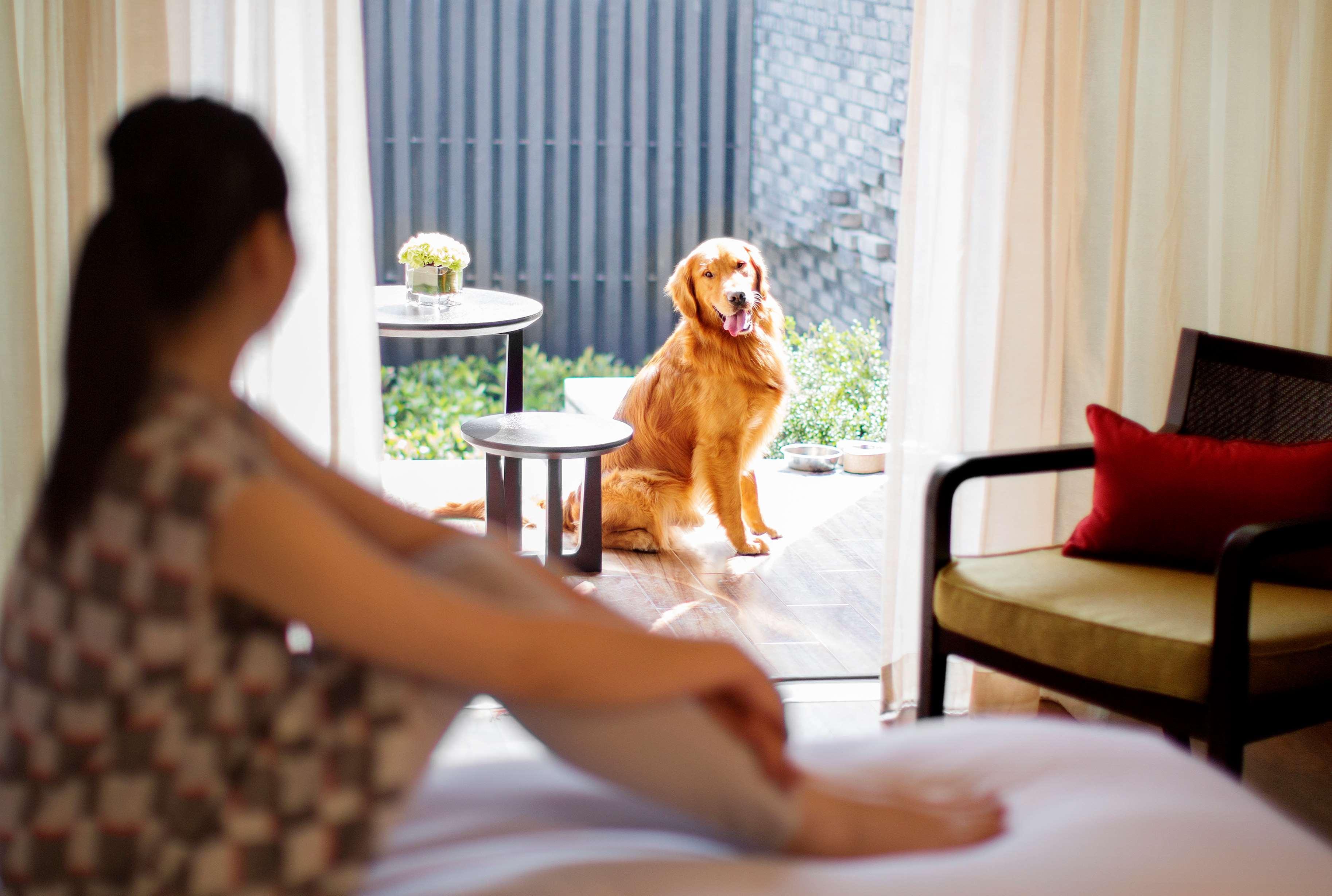 Hyatt Regency Chongming Hotel Екстериор снимка